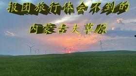 国产美女骑小马,国产美女与萌宠小马的甜蜜邂逅